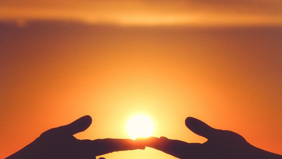 silhouette of persons hand during sunset