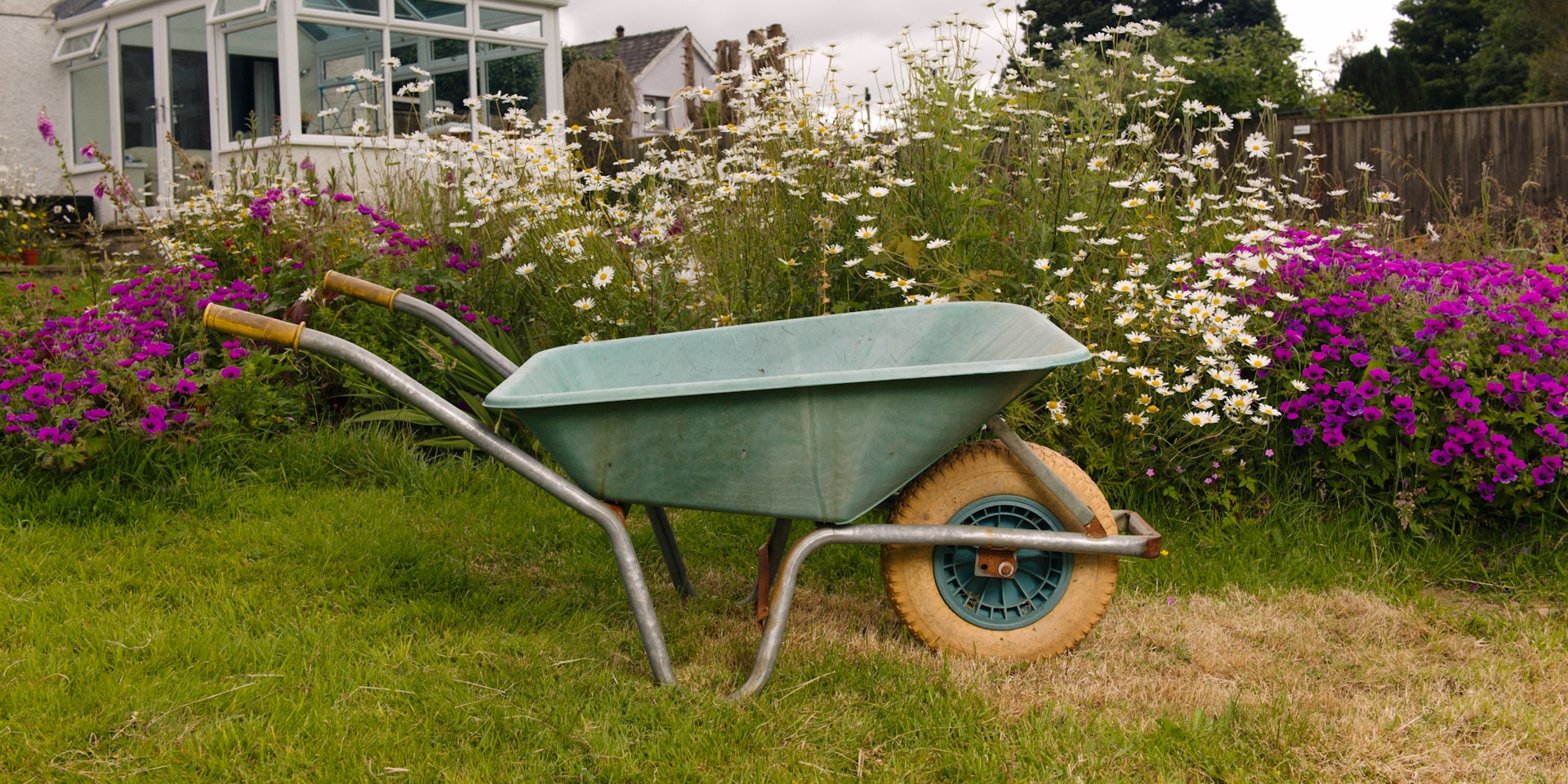 A wheelbarrow sitting in the middle of a garden